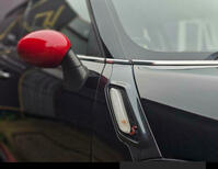 MINI PACEMAN