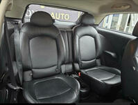 MINI PACEMAN